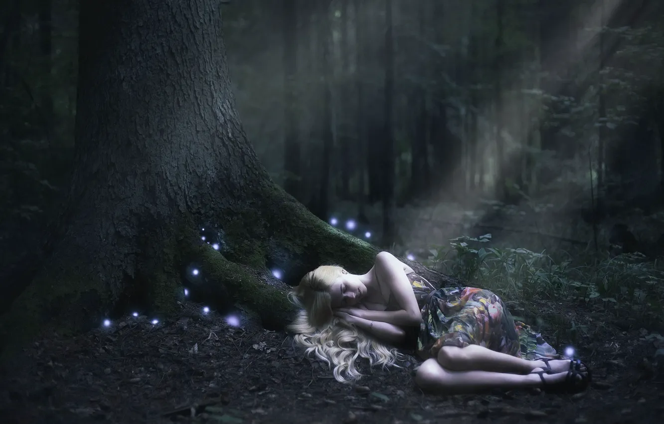 Фото обои лес, девушка, ночь