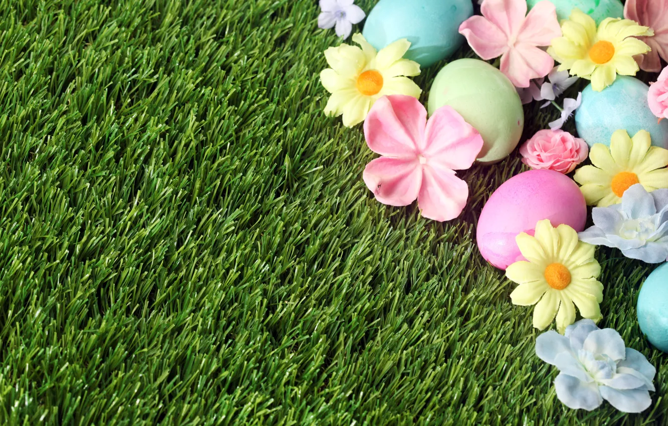 Фото обои трава, цветы, Пасха, flowers, spring, Easter, eggs, decoration