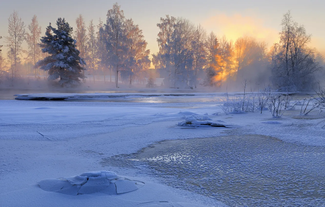Фото обои зима, снег, деревья, природа, река, восход, утро, Швеция