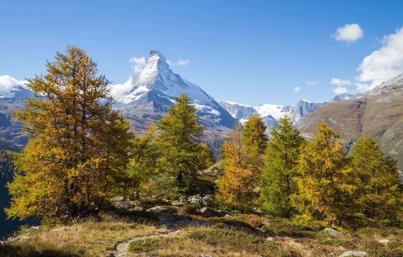 Фото обои осень, деревья, горы, Швейцария, Switzerland, Canton of Valais, Findeln