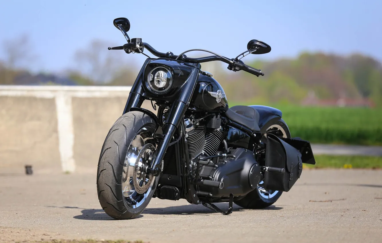 Фото обои мотоцикл, байк, harley davidson, thunderbike customs