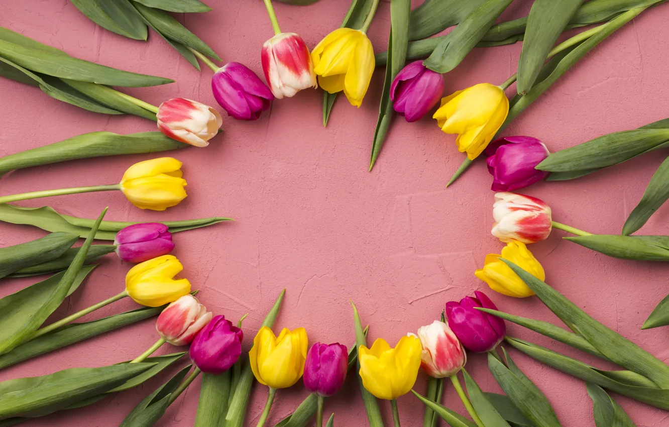 Фото обои цветы, тюльпаны, розовые, yellow, pink, flowers, tulips