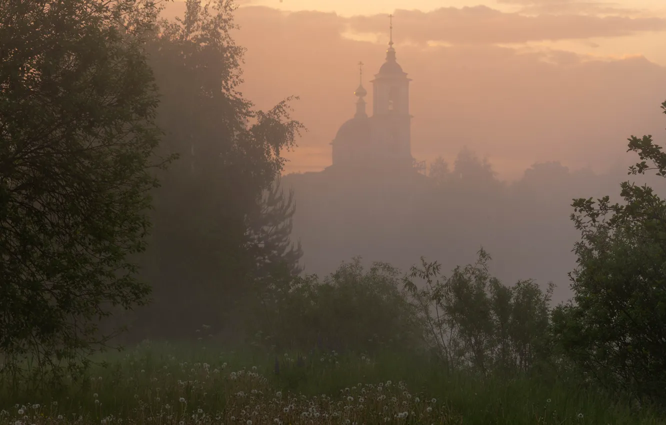 Фото обои деревья, туман, церковь
