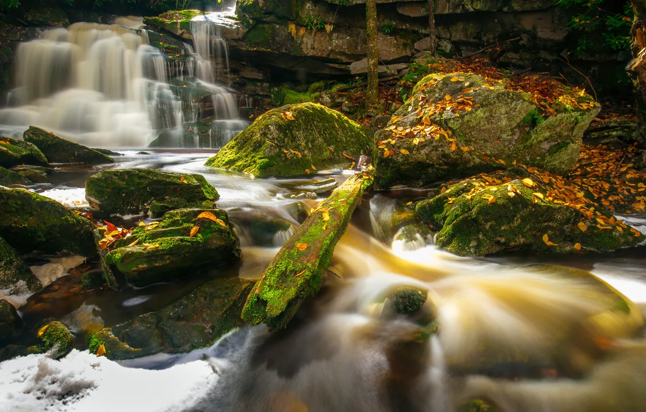 Фото обои осень, листья, река, камни, водопад, мох, каскад, West Virginia