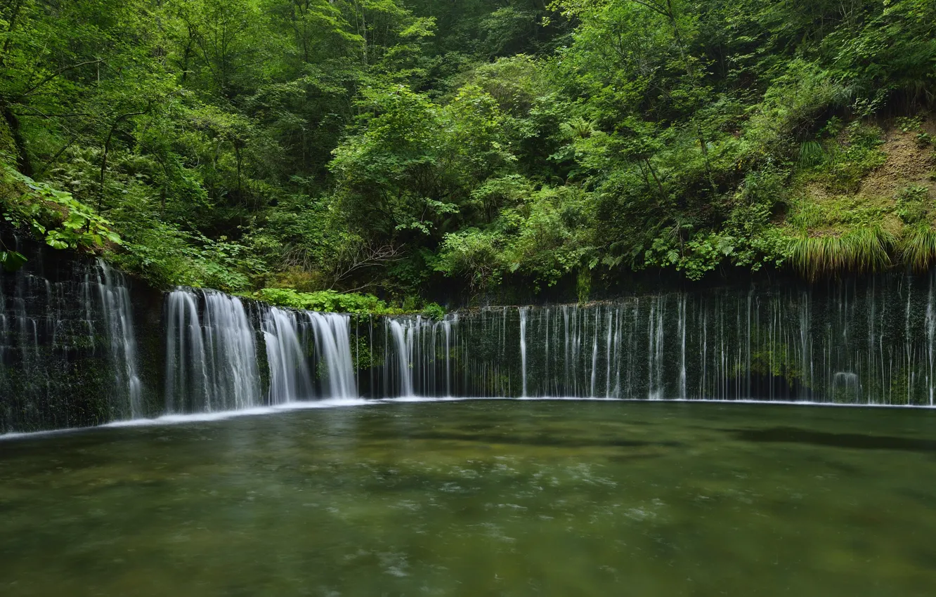 Фото обои Нагано, водопад Сираито, Япония., (Белые Нити), Каруидзава-мати