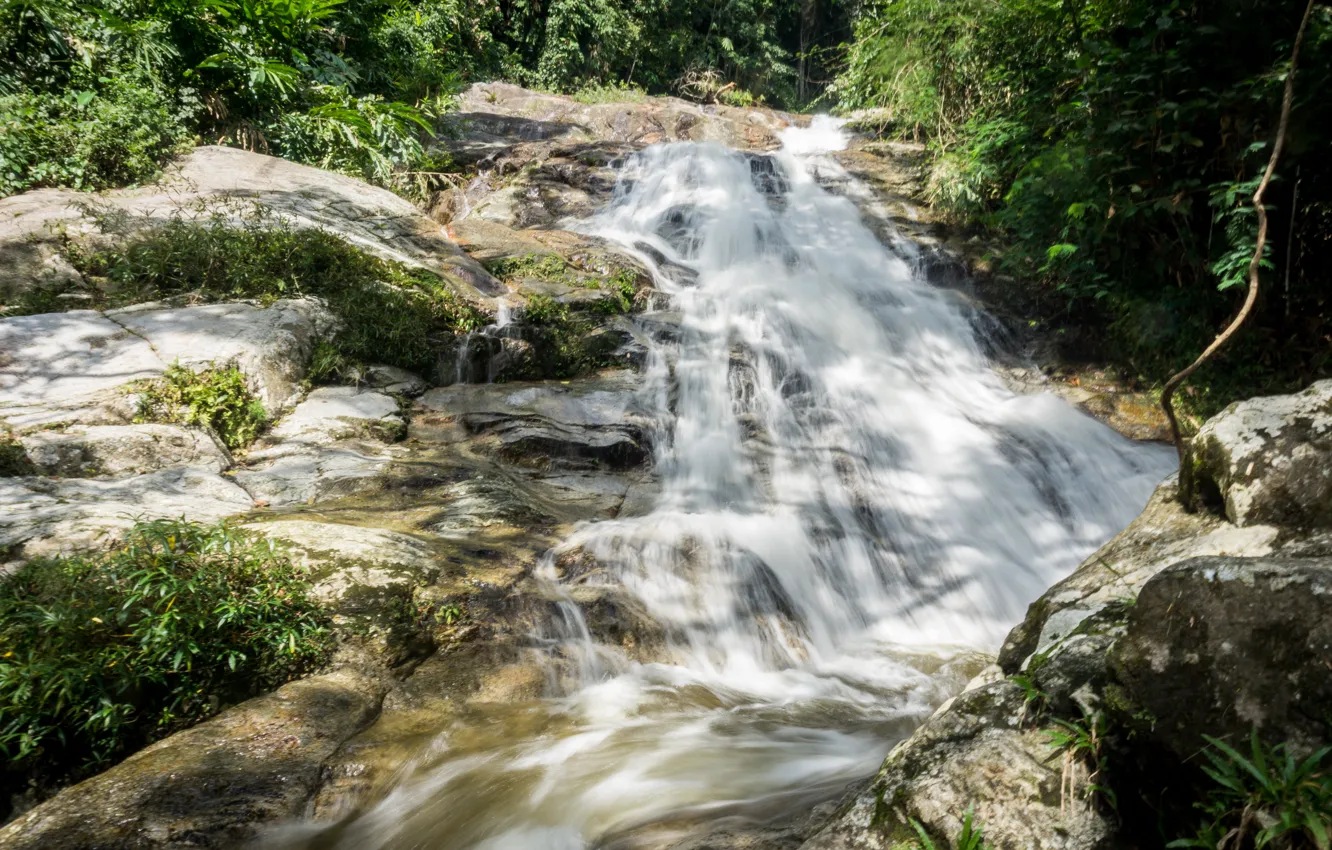 Фото обои green, river, trees, nature, water, waterfall, highland, malaysia