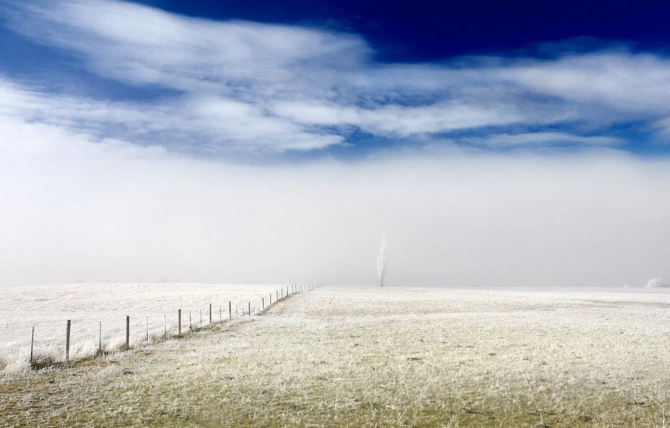 Фото обои небо, пейзаж, туман, дерево, обои, забор