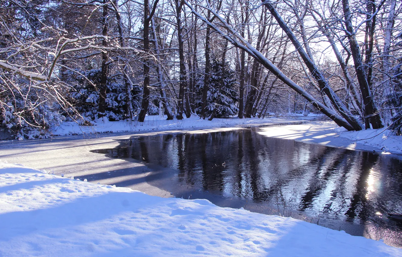 Фото обои ice, trees, park, winter, lake, snow, pond