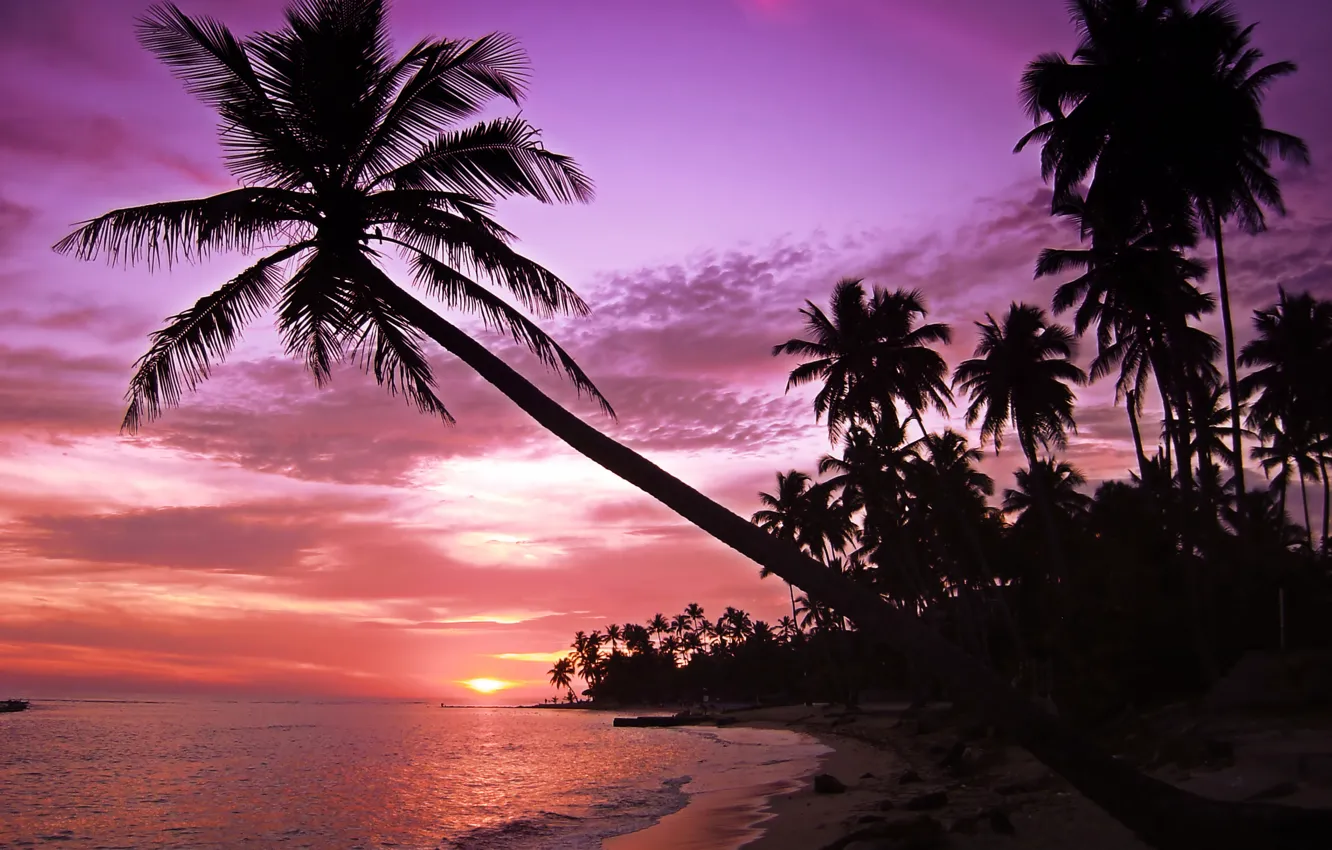 Фото обои море, волны, пляж, небо, пейзаж, закат, пальмы, остров