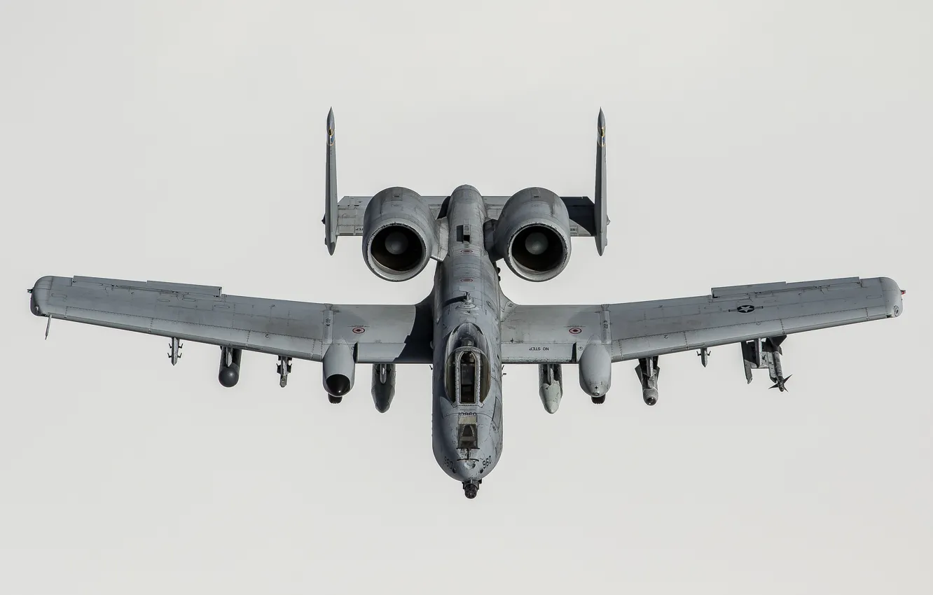Фото обои штурмовик, A-10, Thunderbolt II