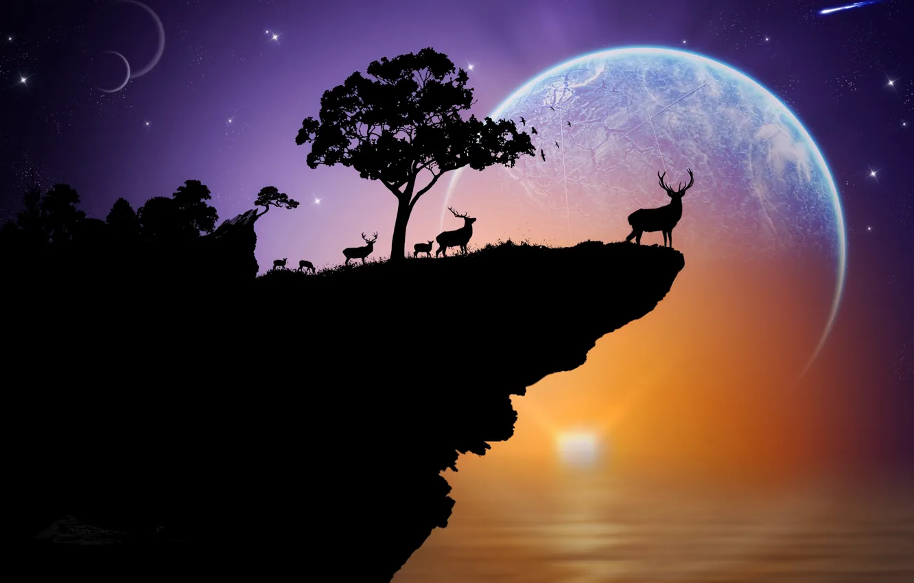 Фото обои море, небо, звезды, закат, скала, дерево, планета, олень