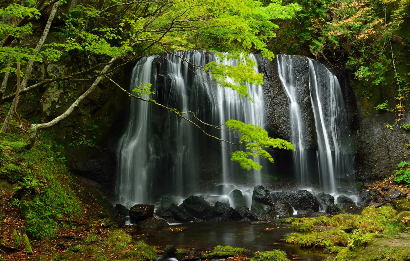 Фото обои вода, деревья, зеленый, камни, водопад