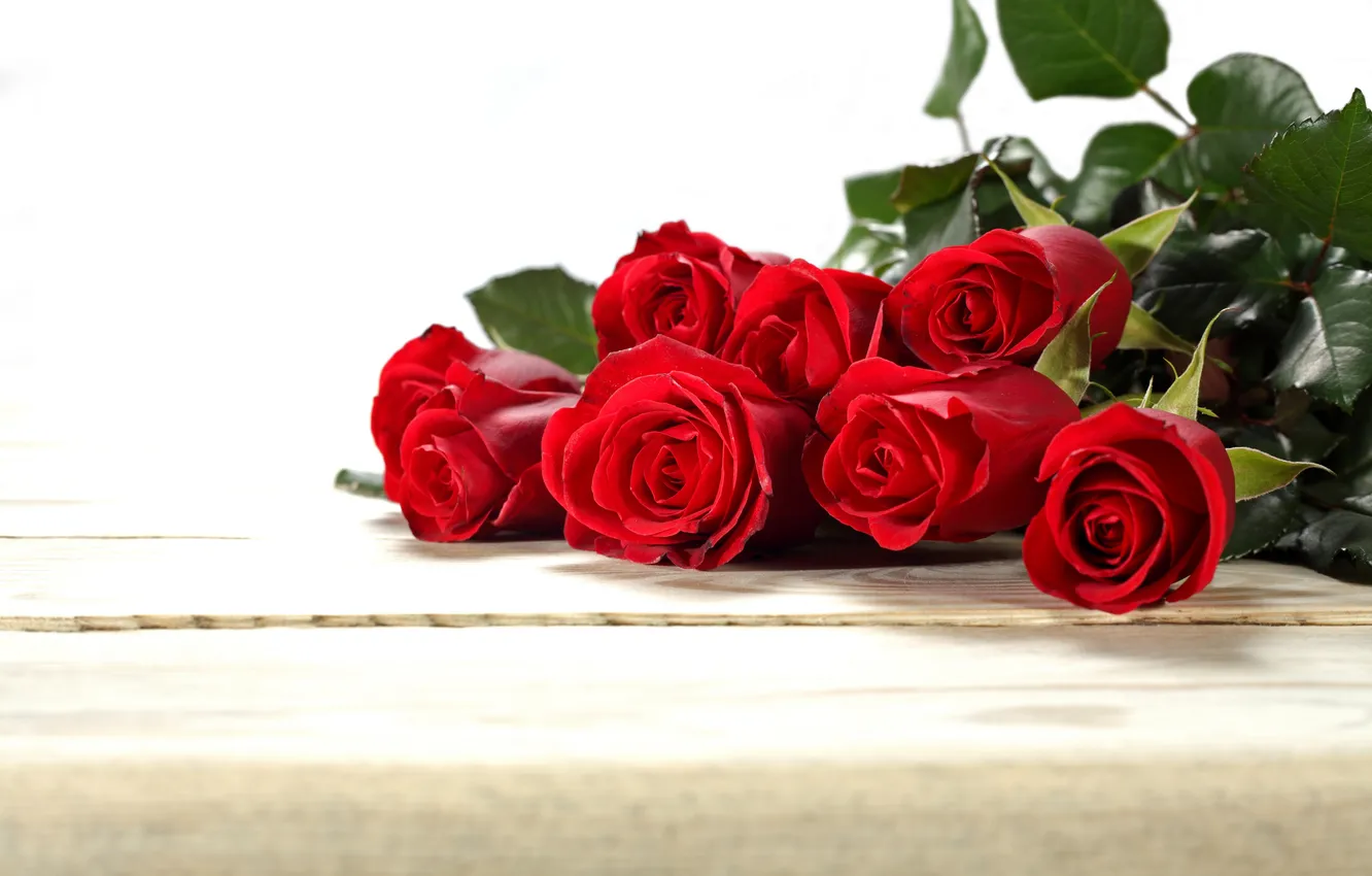 Фото обои розы, красные, бутоны