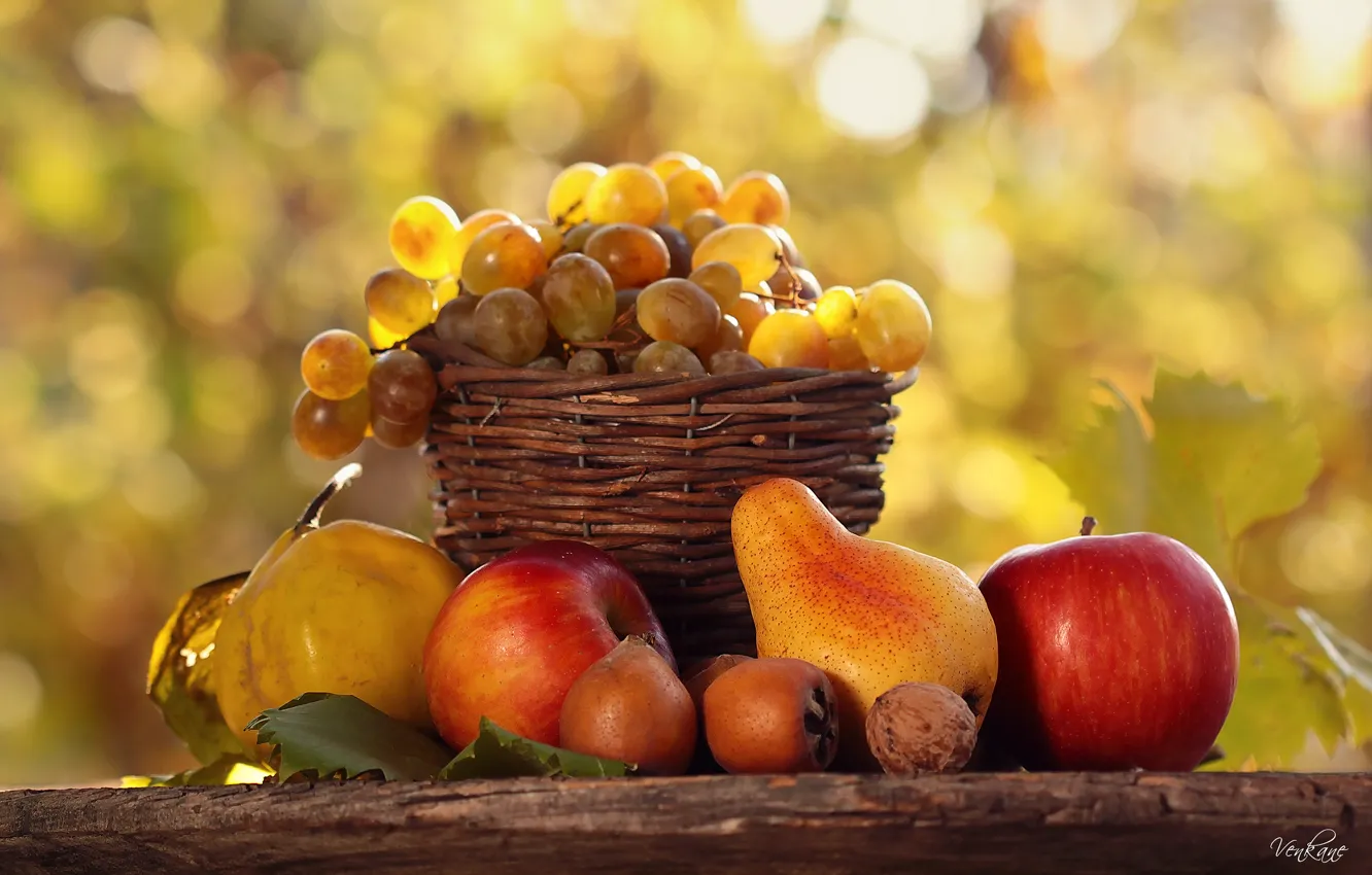 Фото обои осень, свет, стол, корзина, еда, фрукты, дары, природы