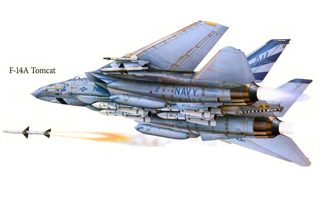 Фото обои самолет, атака, рисунок, истребитель, сша, томкэт, Ф-14