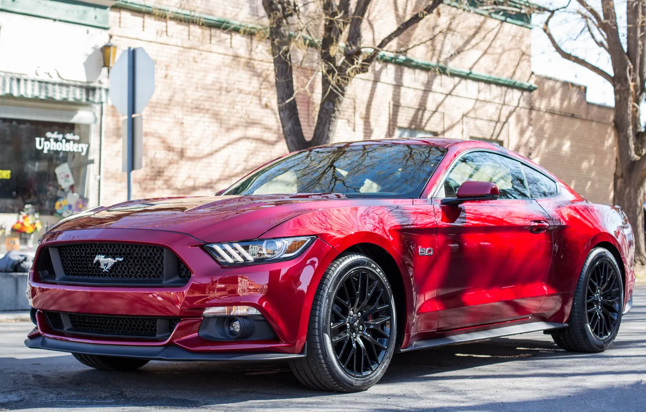 Фото обои Mustang, Ford, street, 2015