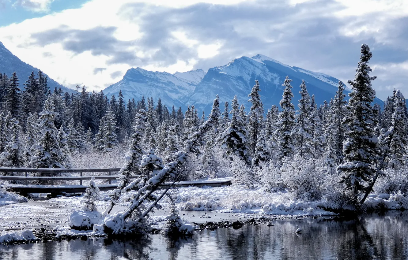 Фото обои зима, лес, небо, облака, снег, деревья, горы, мост