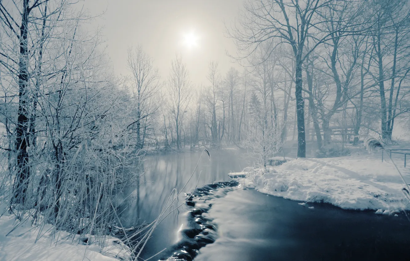 Фото обои зима, солнце, деревья, туман, река