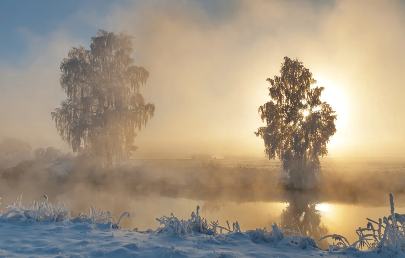 Фото обои зима, иней, солнце, снег, деревья, река