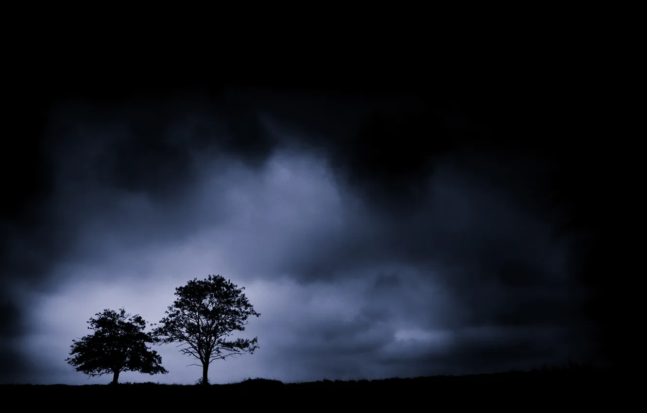 Фото обои небо, деревья, пейзаж, ночь, природа, туман, силуэты