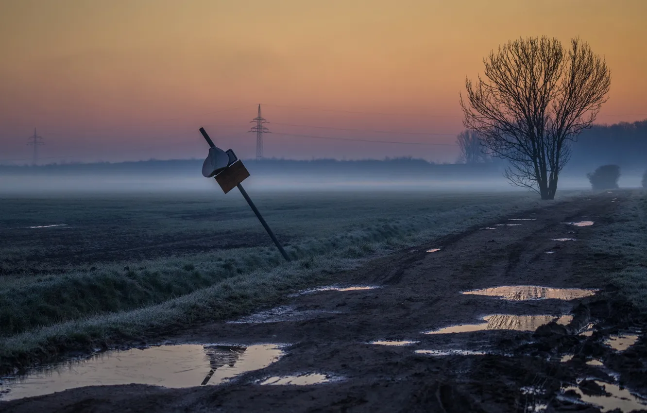 Фото обои дорога, туман, утро