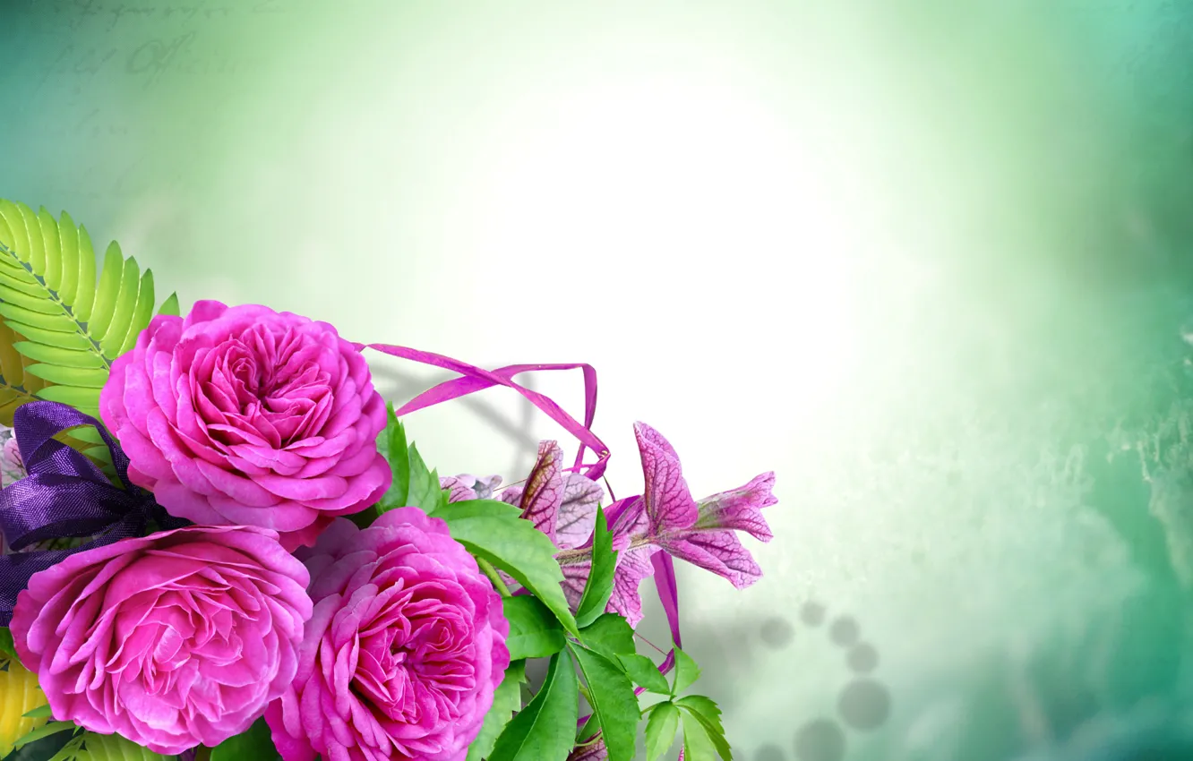 Фото обои розы, Roses, шаблон, Template