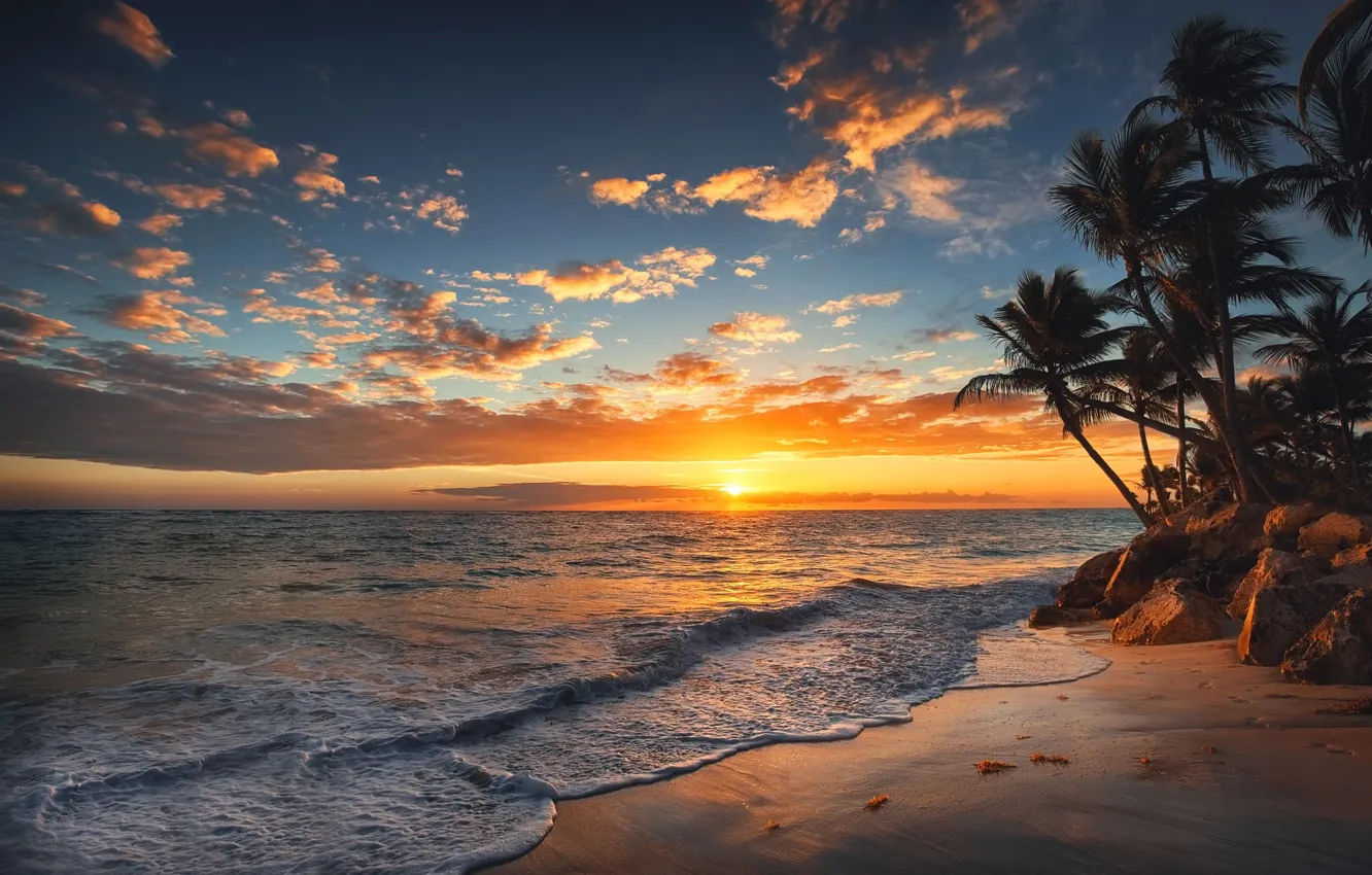Фото обои море, пейзаж, природа, тропики, пальмы, рассвет, берег, утро