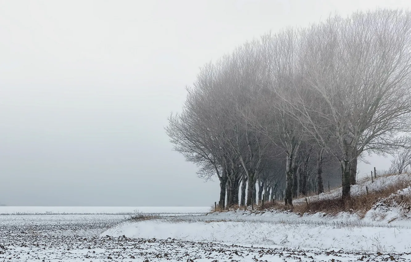 Фото обои поле, снег, пейзаж