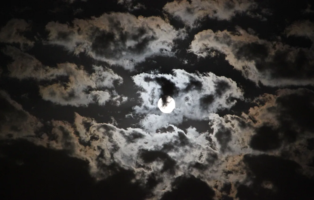 Фото обои небо, ночь, луна, Тольятти