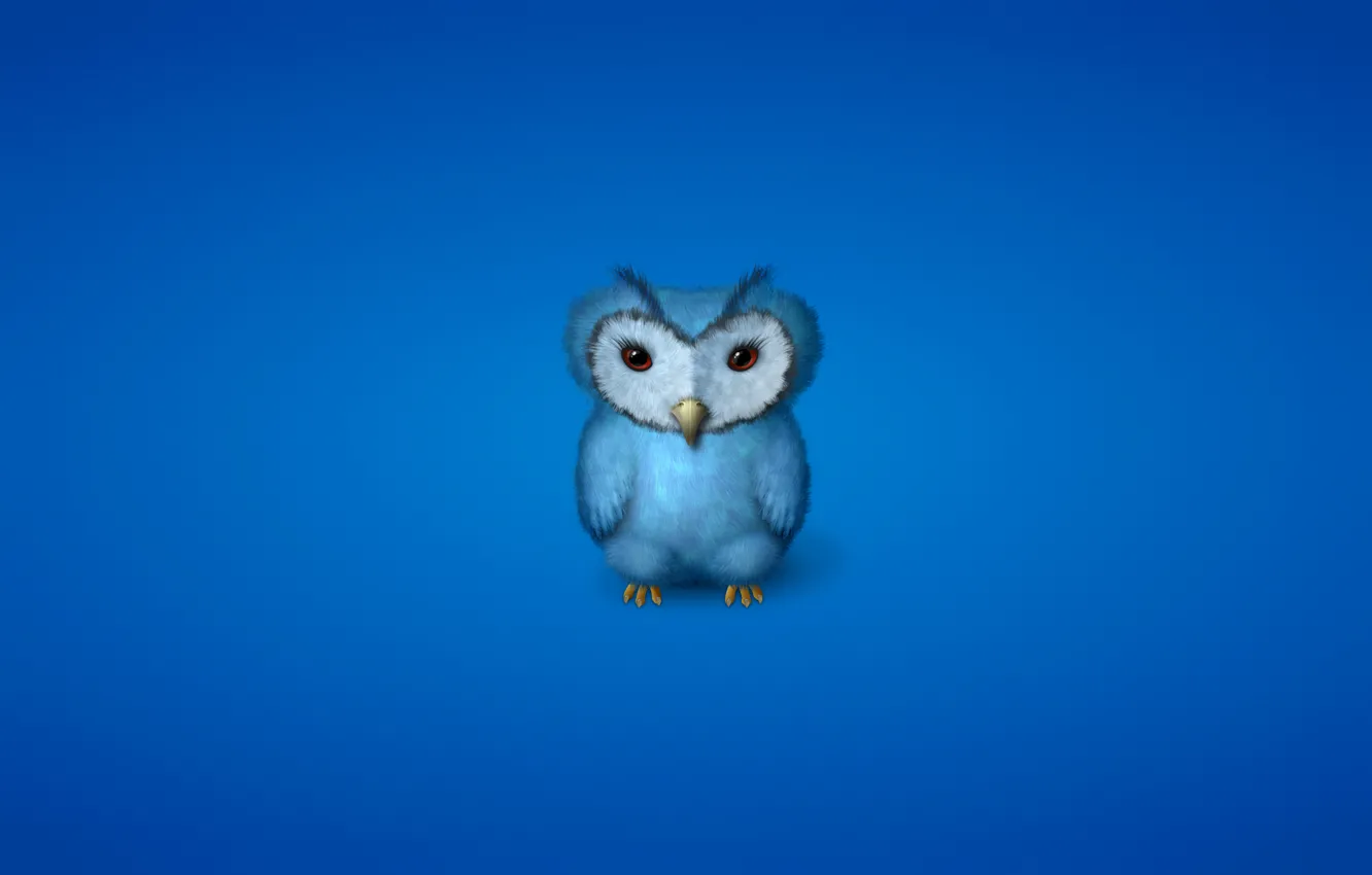 Фото обои сова, птица, минимализм, синяя, owl, синеватый фон
