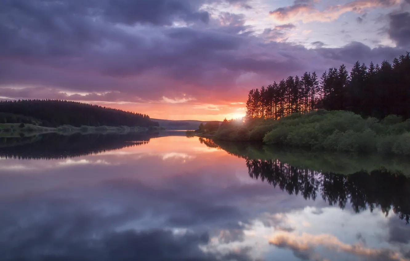 Фото обои лес, небо, вода, облака, деревья, закат, тучи, гладь