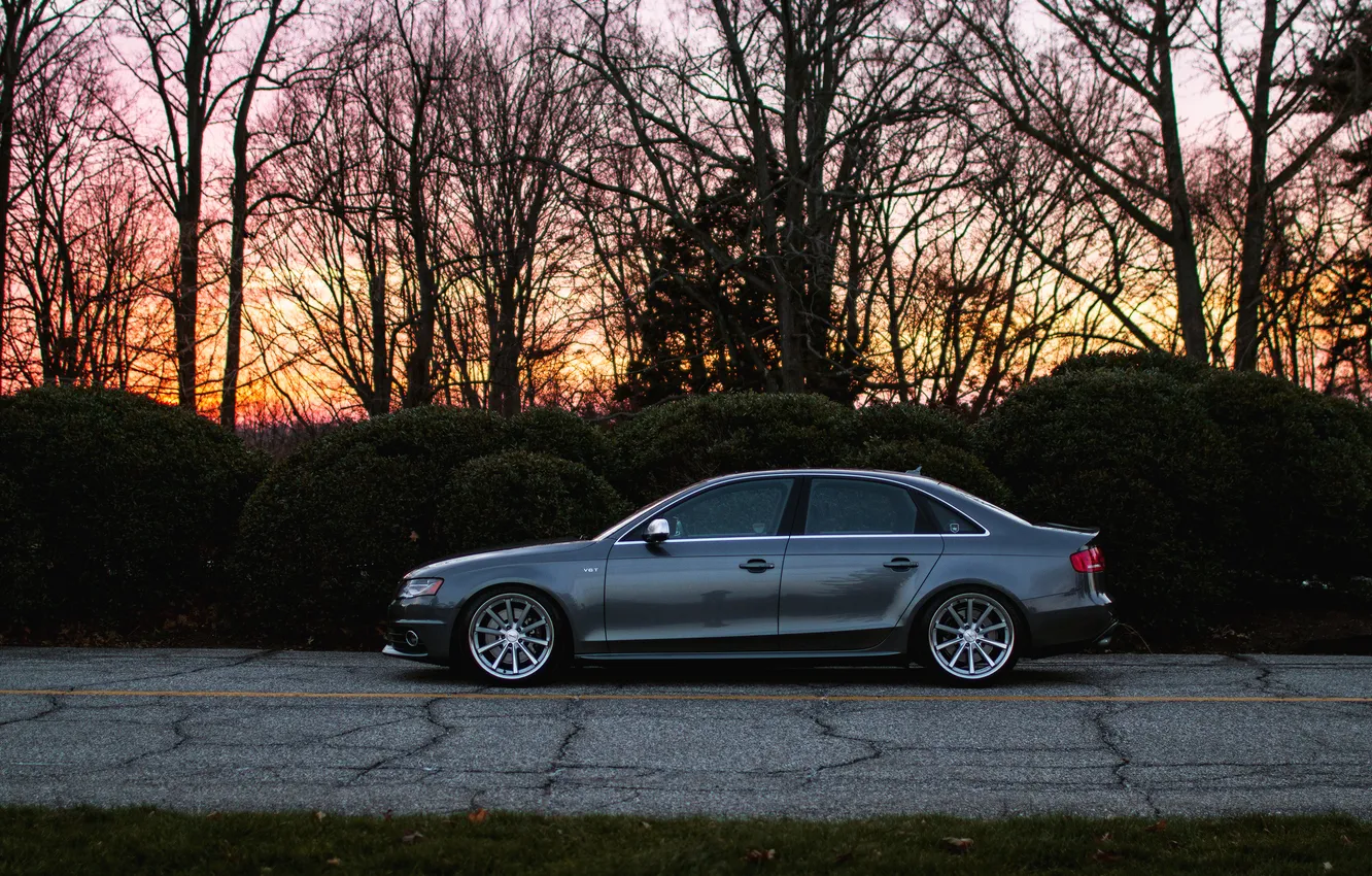 Фото обои Audi, ауди, профиль