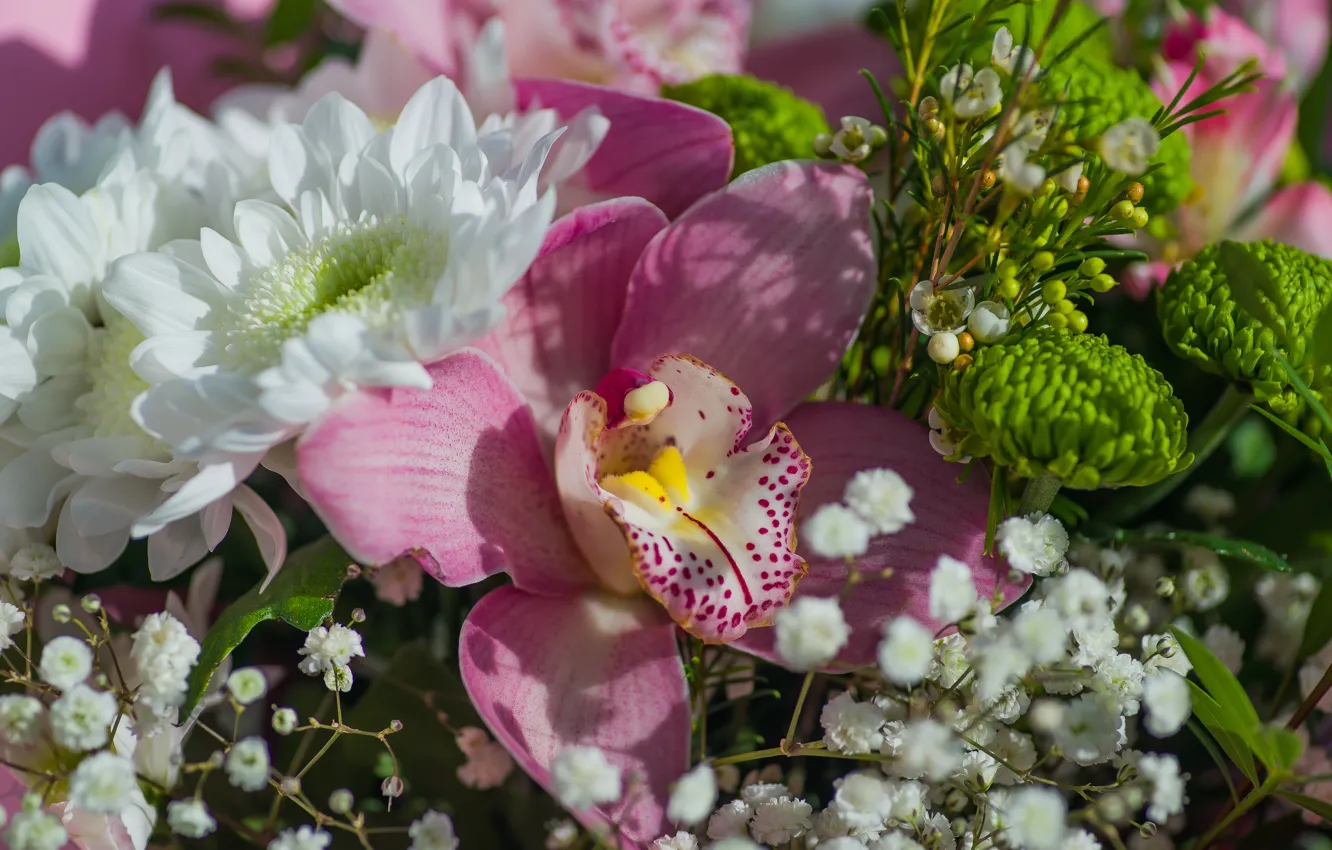 Фото обои цветы, праздник, букет, орхидея