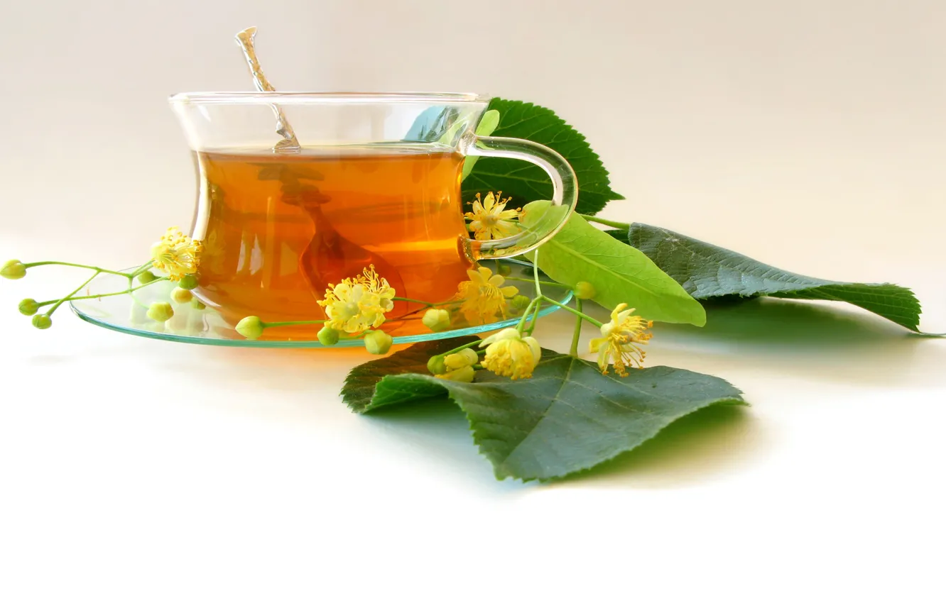 Фото обои чай, листики, соцветия