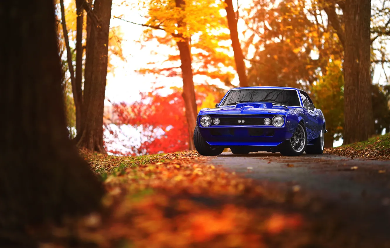 Фото обои Chevrolet, Camaro, Blue, Black, Autumn, Wheels