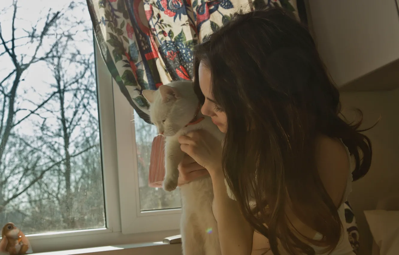 Фото обои cat, model, window, hair, brunette, Diana, shirt, young woman