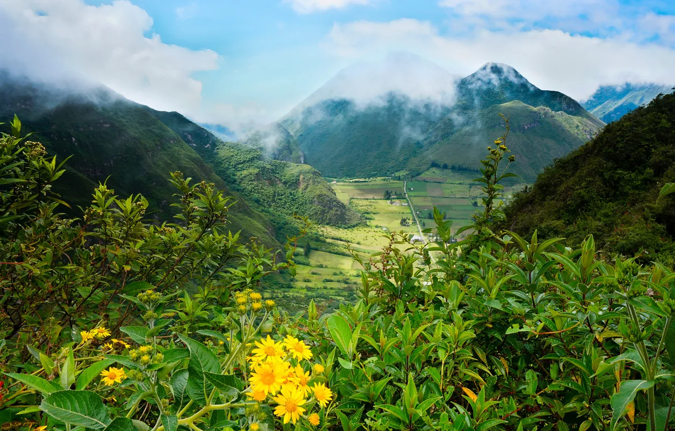 Фото обои зелень, облака, горы, поля, долина, кусты, Ecuador, Pululahua
