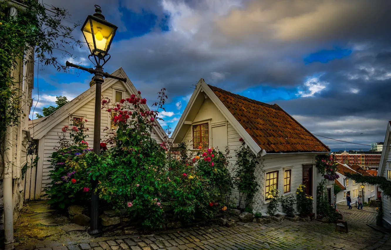 Фото обои цветы, город, улица, дома, вечер, освещение, Норвегия, фонари