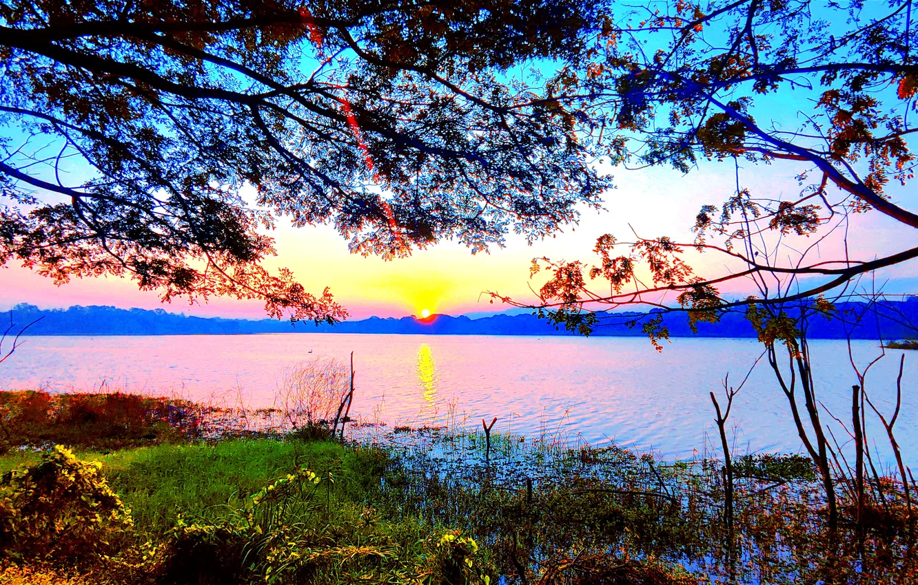 Фото обои Sky, Grass, Sun, Water, Sunrise, Dawn, Morning, Lake