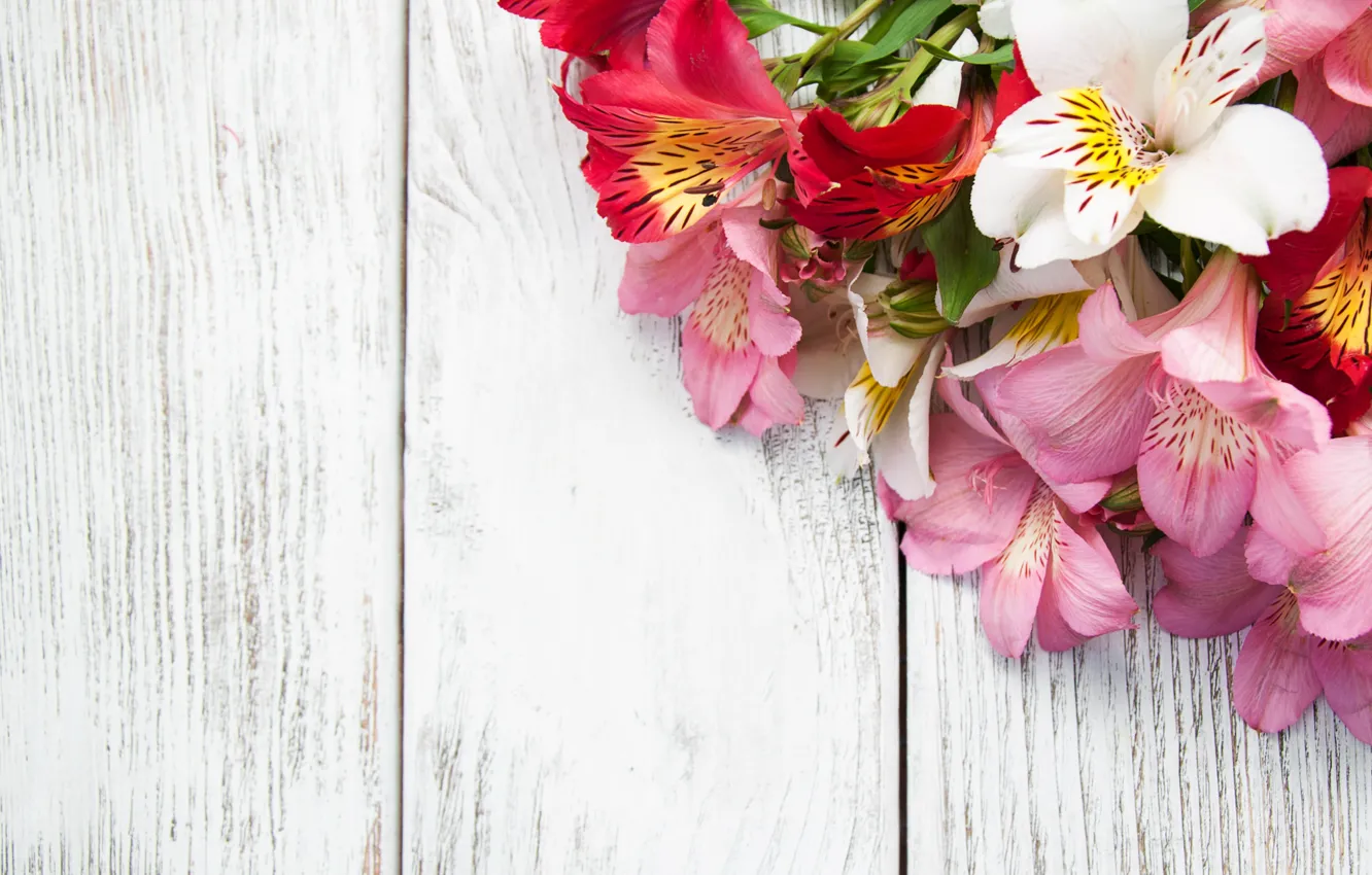 Фото обои цветы, лилии, букет, розовые, wood, pink, flowers, lily