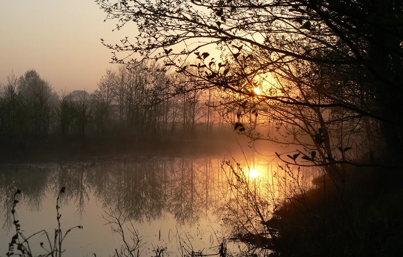 Фото обои река, рассвет, утро, родина, Беларусь, моё фото, Друть