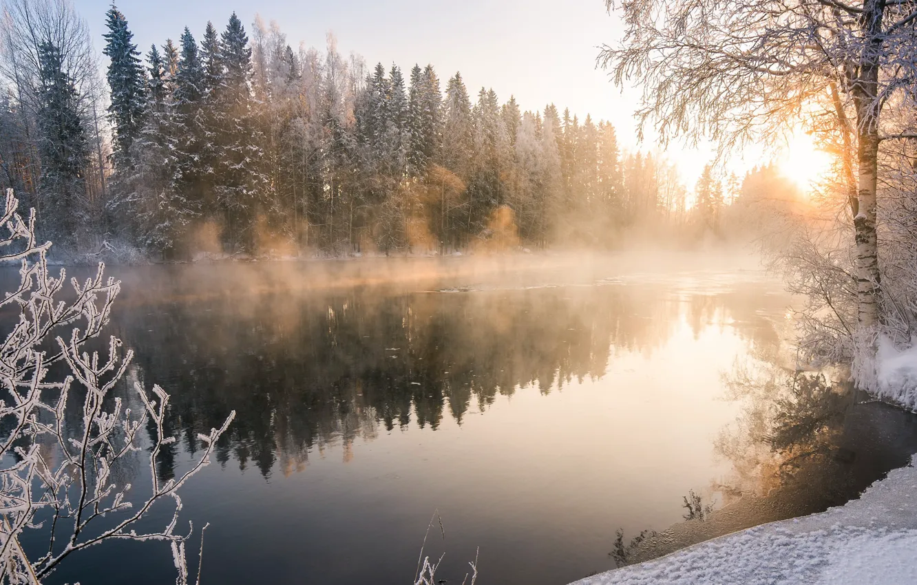 Фото обои зима, туман, река, утро