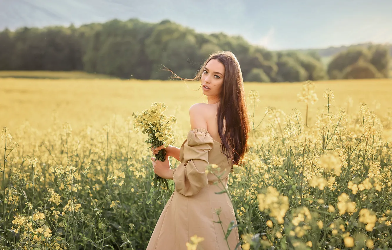 Фото обои поле, лето, девушка, цветы, природа, поза, волосы, платье