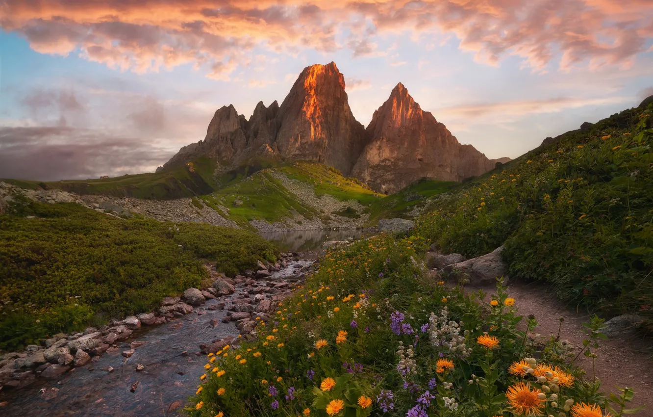 Фото обои пейзаж, закат, цветы, горы, природа, ручей, камни, Ингушетия