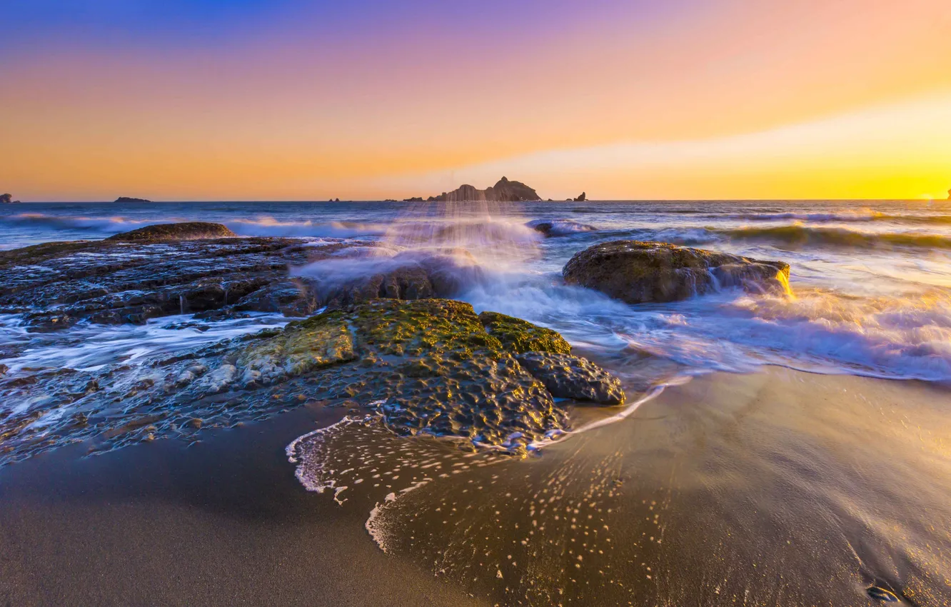 Фото обои пляж, водоросли, камни, океан, рассвет