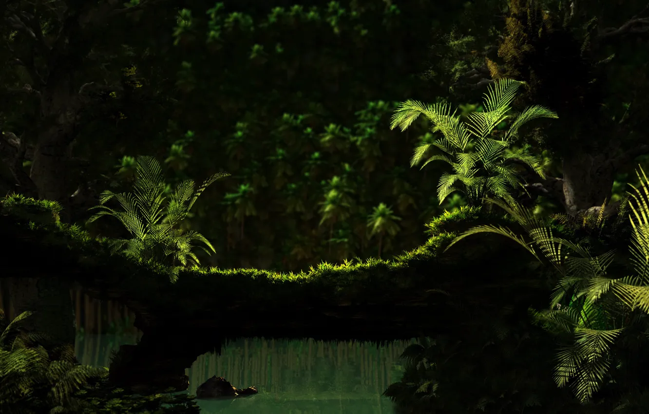 Фото обои зелень, вода, природа, дерево, папоротник