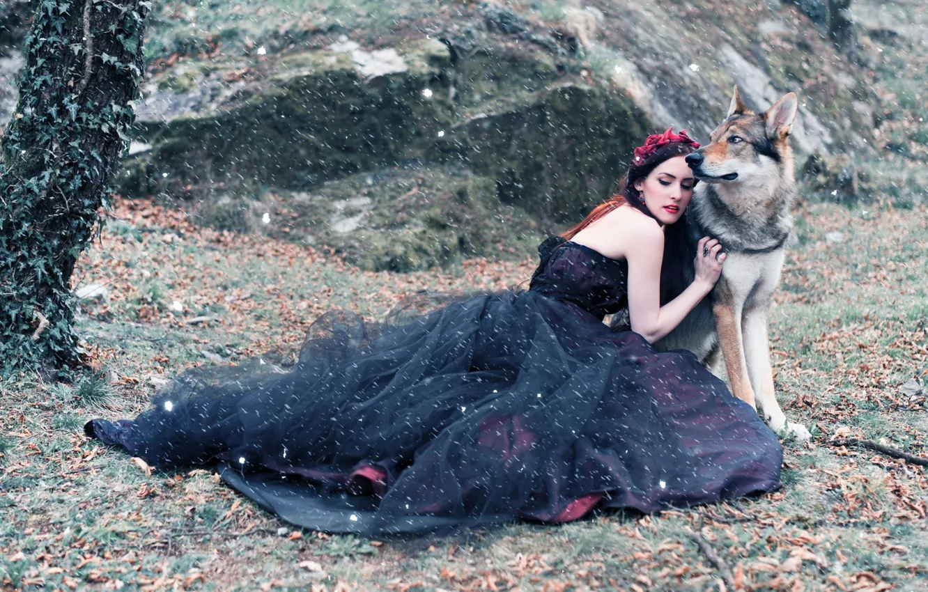 Фото обои девушка, природа, волк