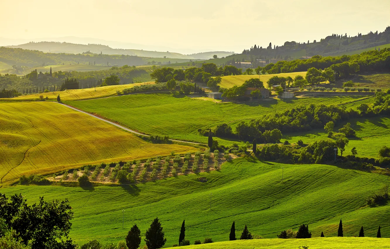 Фото обои солнце, деревья, поля, Италия, домики, луга, Тоскана