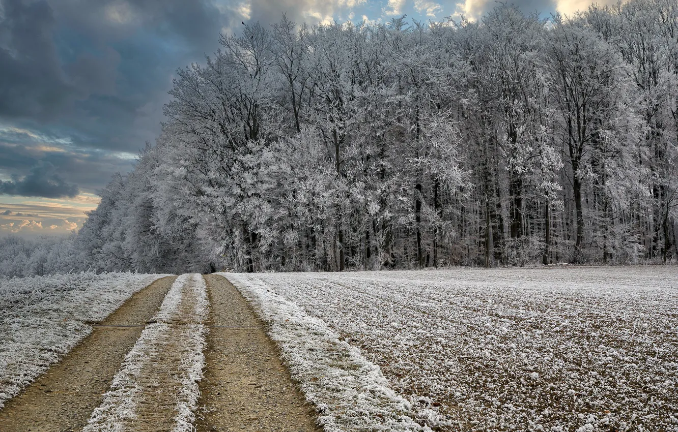 Фото обои зима, дорога, лес, мороз