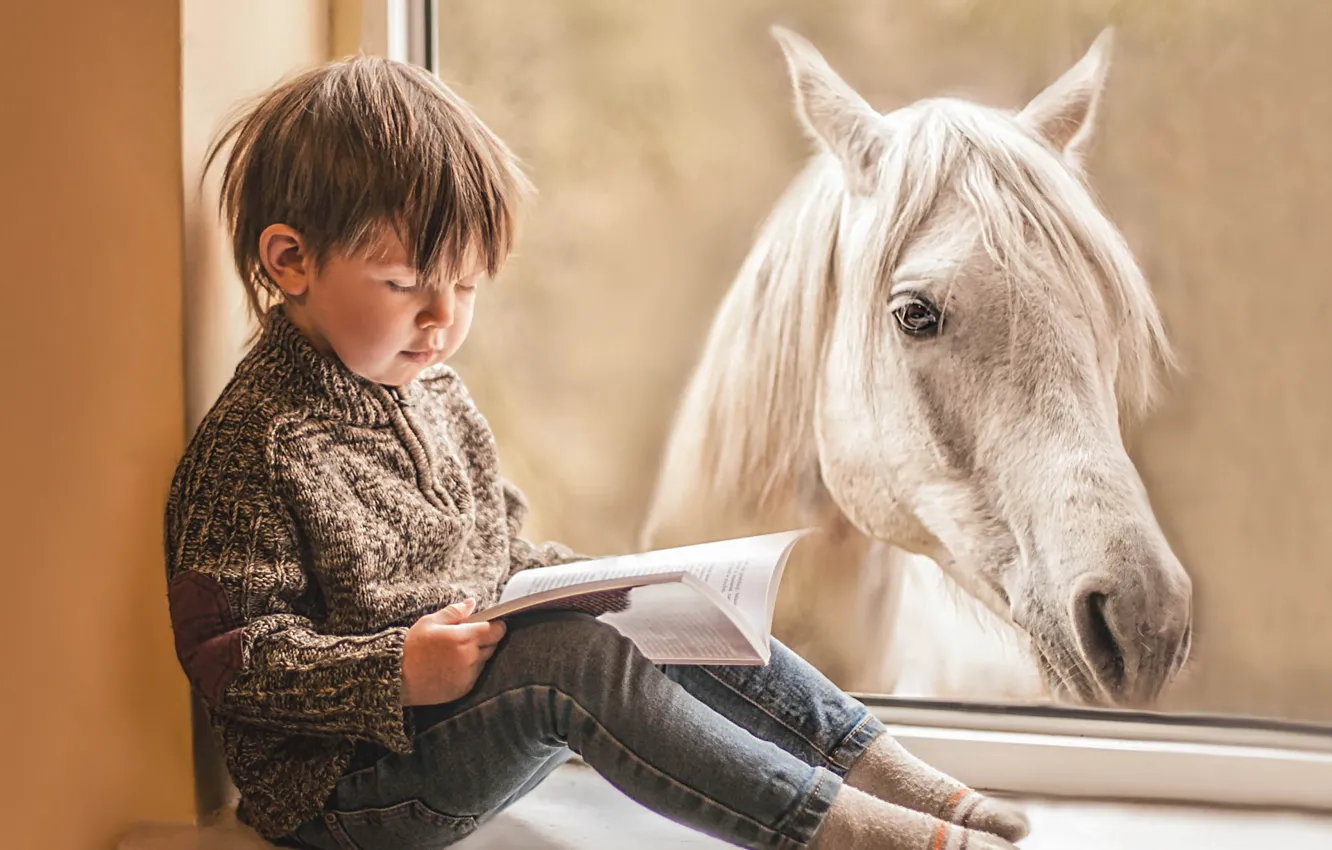 Фото обои конь, мальчик, окно, книга